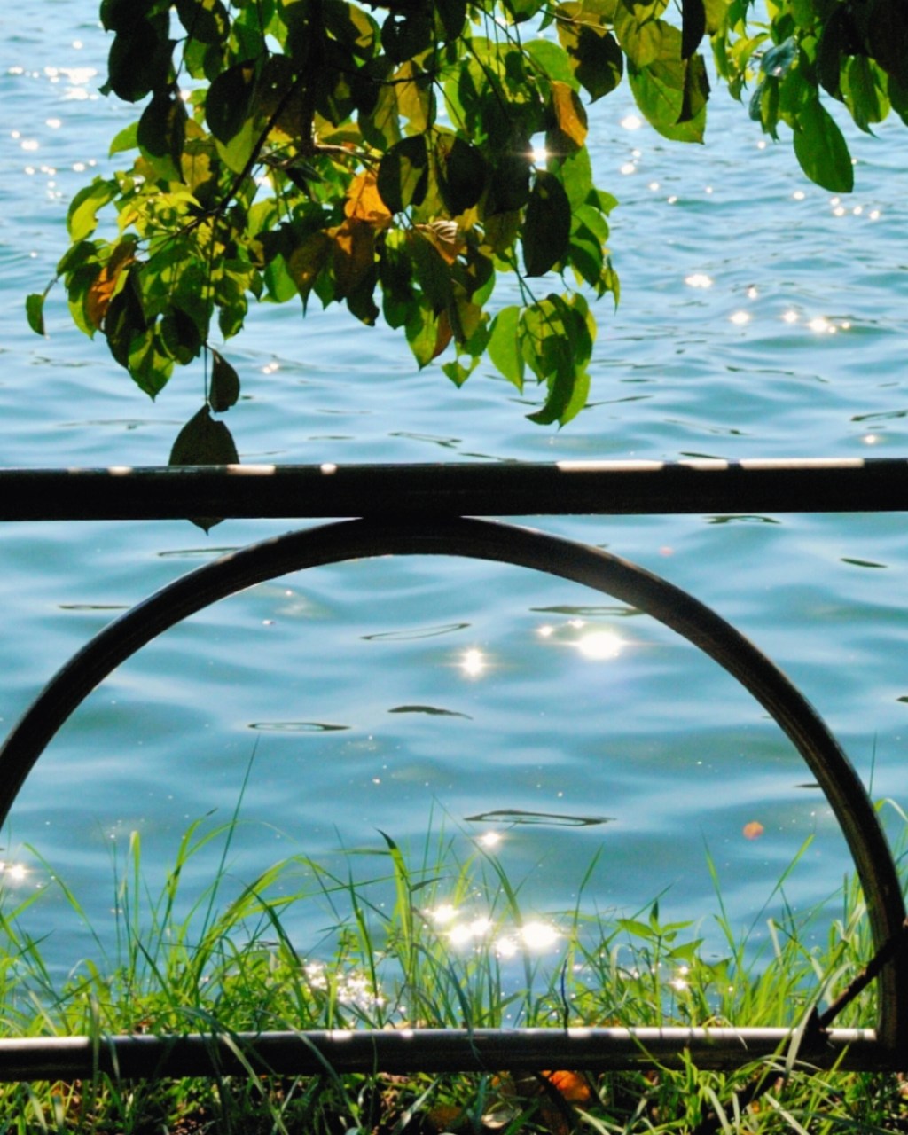 Chapter 1 | 安靜&nbsp;Stillness